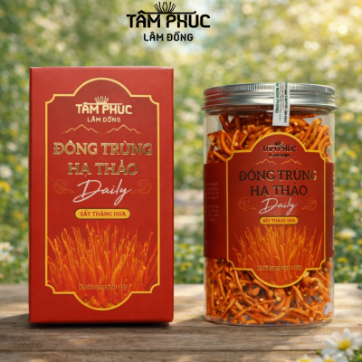 ĐÔNG TRÙNG HẠ THẢO DAILY SẤY THĂNG HOA  | 35 Gram | GIÁ THỂ GẠO HỮU CƠ