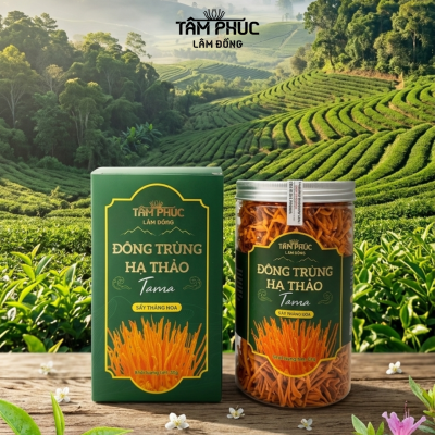 ĐÔNG TRÙNG HẠ THẢO TAMA SẤY THĂNG HOA | 35 Gram | GIÁ THỂ BỘT NHỘNG TẰM