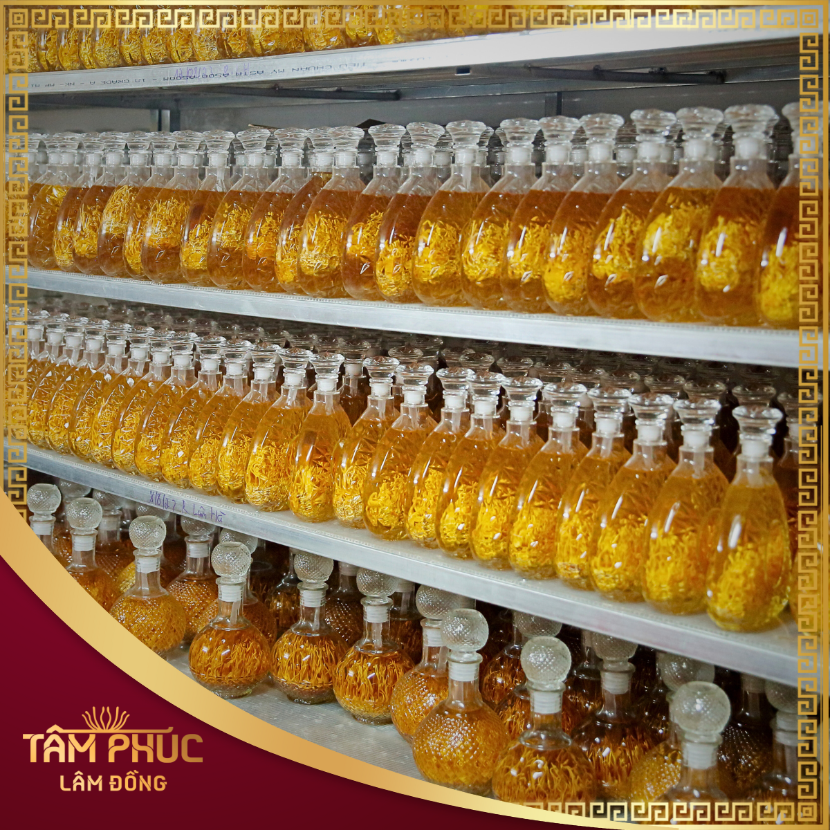 THÔNG TIN CHI TIẾT