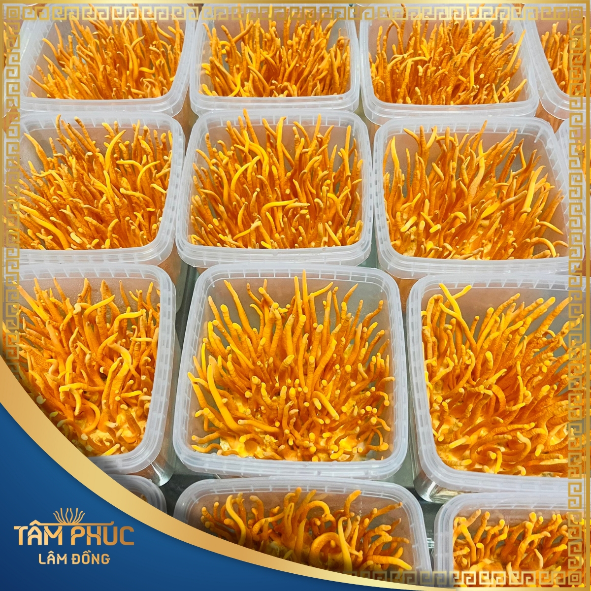 QUY TRÌNH SẢN XUẤT