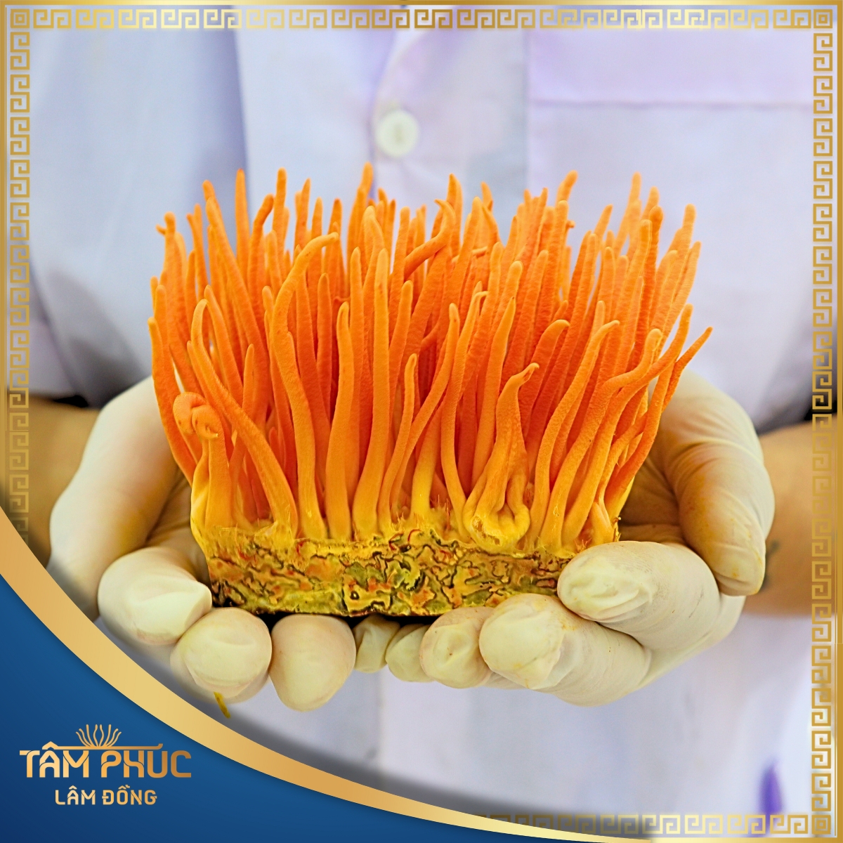 THÔNG TIN CHI TIẾT